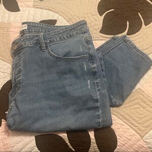 Ava & Viv Blue Women Jeans